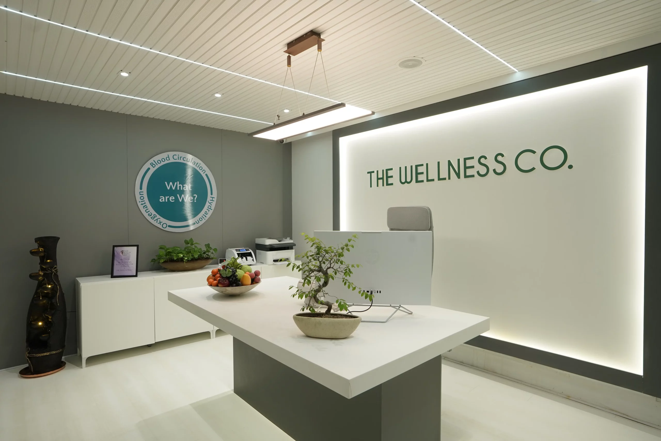 The Wellness Co.